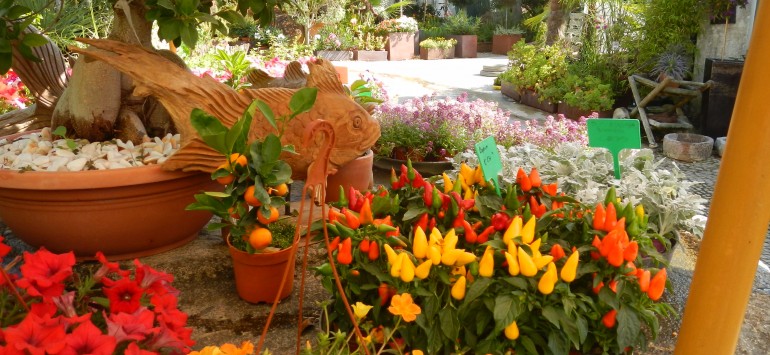Frente ao escritório